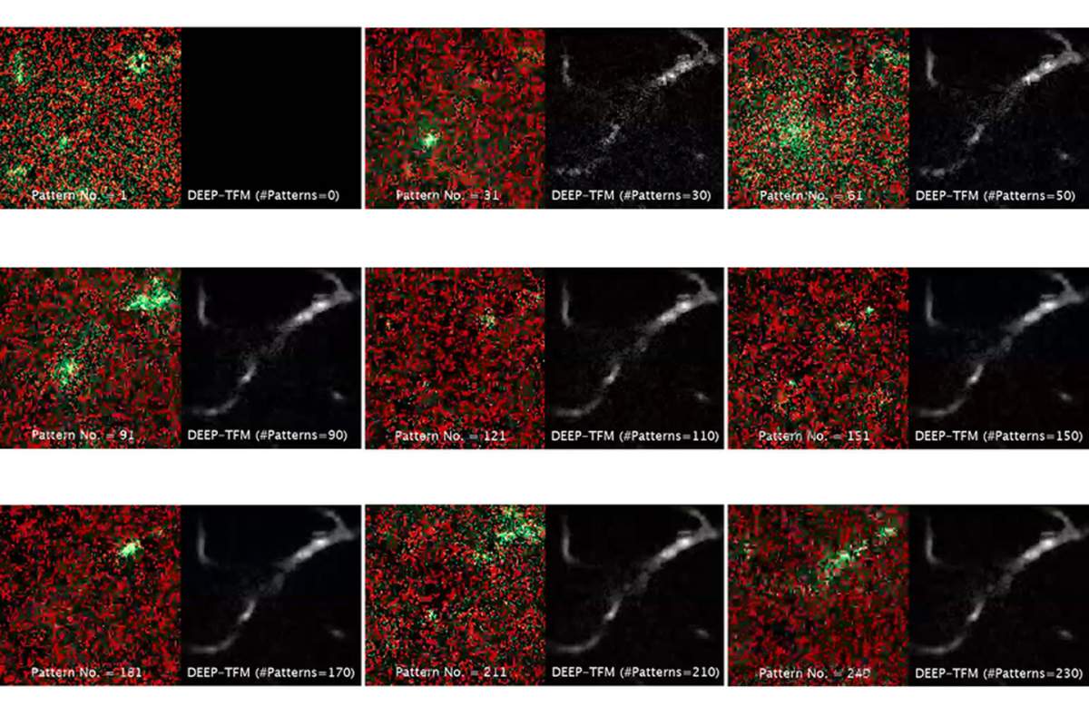 Mit Microscopy Technique Improves Deep Tissue Imaging Slashgear