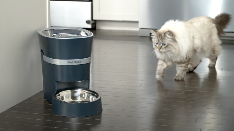 Tall black container with attached bowl full of pet food