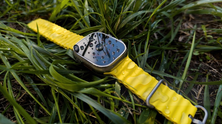 Apple Watch Ultra in the grass