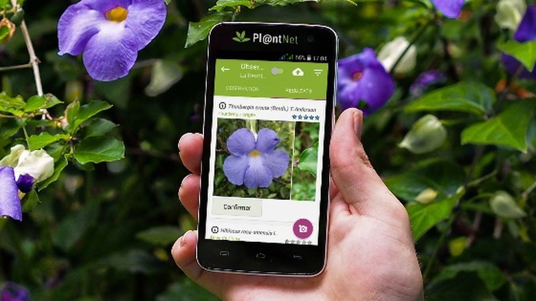 PlantNet app