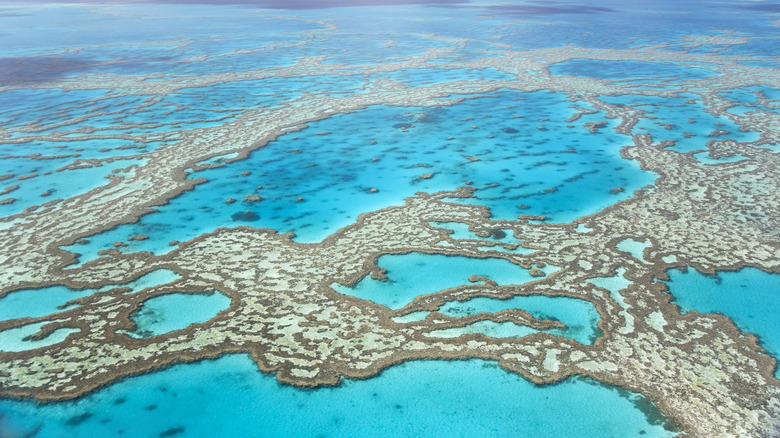 aerial view of the Great Barrier Reef, Australia