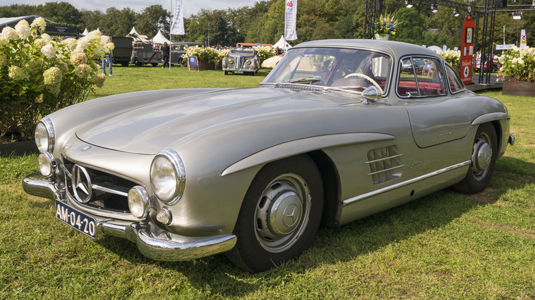 A silver Mercedes-Benz 300 SL Gullwing is parked on grass near some flowers.