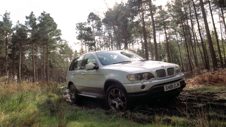 BMW X5 in the woods