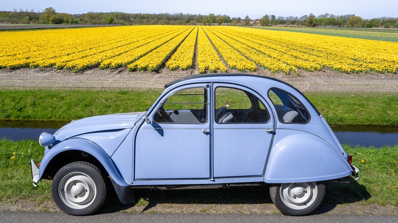 Citroën 2CV field