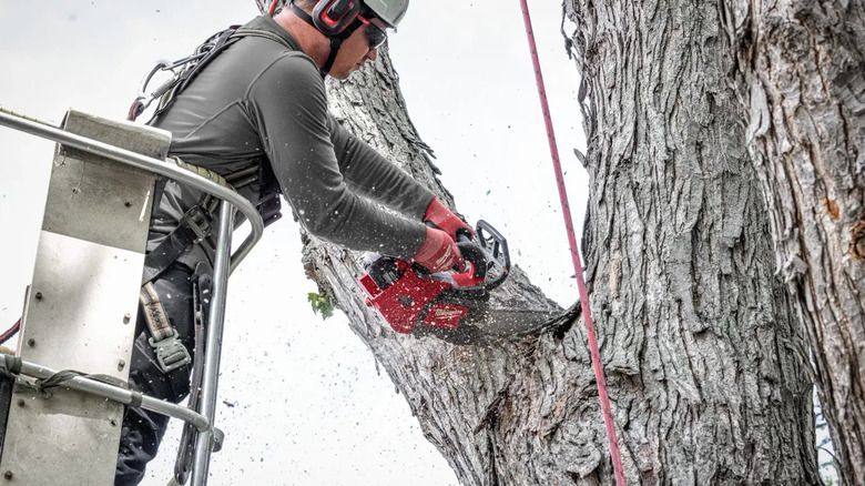 MilwaukeeTop Handle Chainsaw