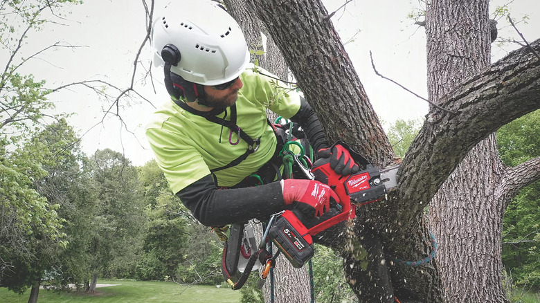 Milwaukee Pruning Saw