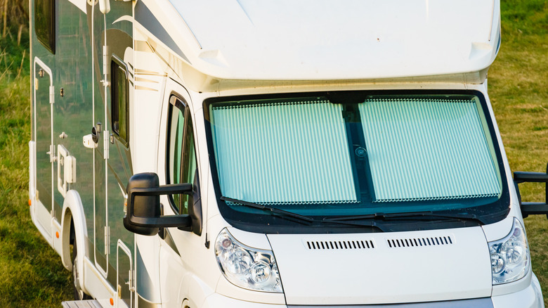 Insulating RV blinds 