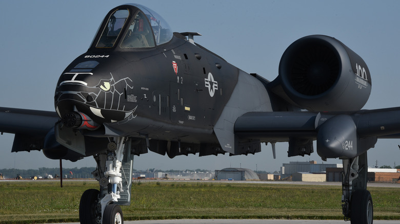 A-10 Thunderbolt Blacksnake