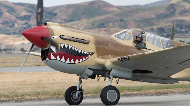 Curtiss P-40 Warhawk Shark Face