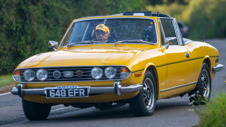 Yellow Triumph stag