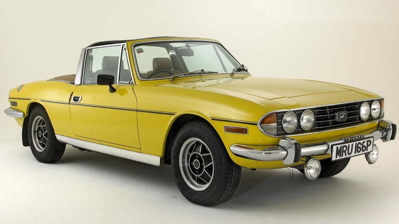 Yellow Triumph Stag