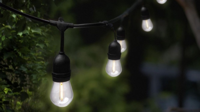 String of white lights at night against a garden-like background