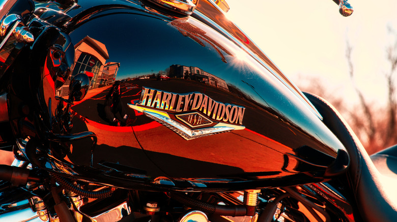 Harley-Davidson badge closeup