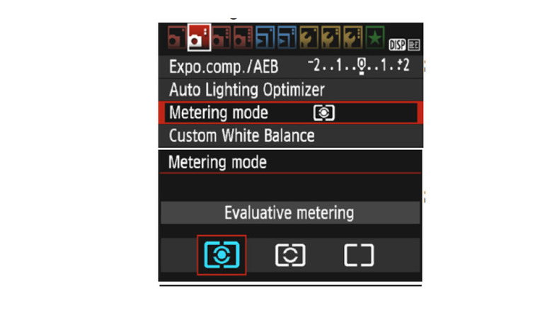 Canon Metering mode choices on T7i DSLR