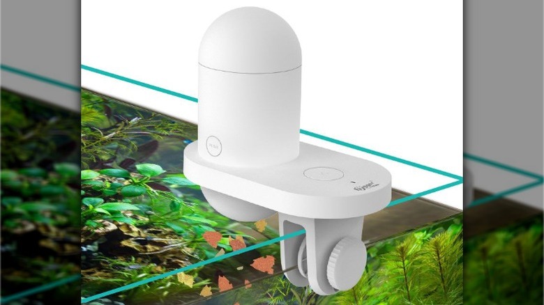 Hygger WiFi Automatic Fish Feeder