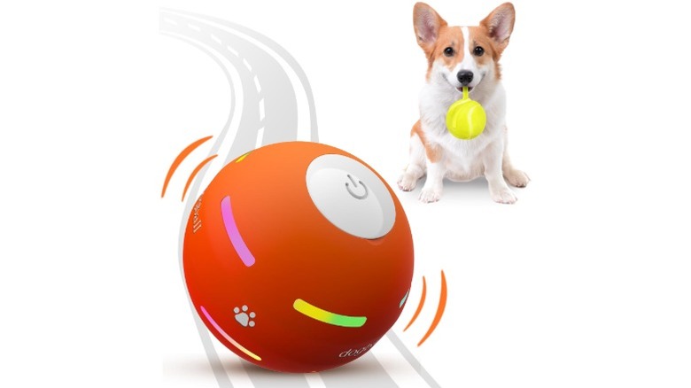 PetDroid Interactive Dog Ball