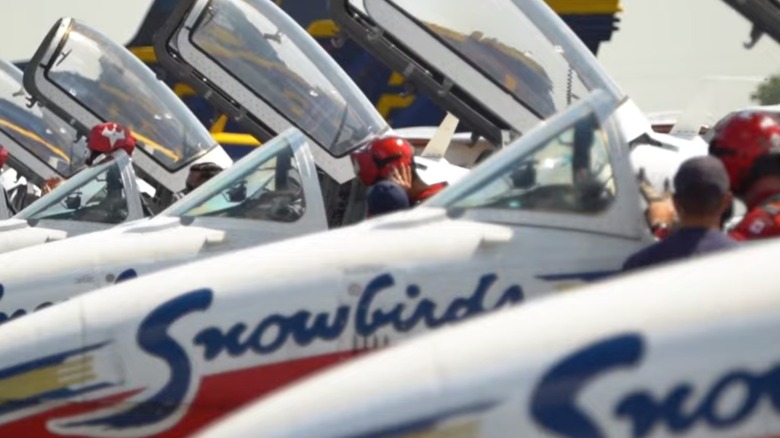 Canada Snowbirds at London Airshow SkyDrive