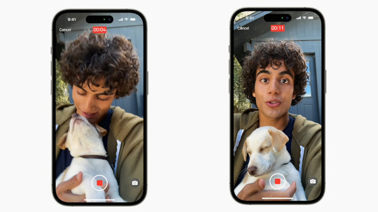 Dog and young man on iPhone