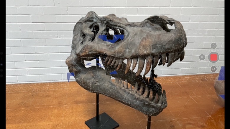 iPad Pro LiDAR scanning t-rex skull