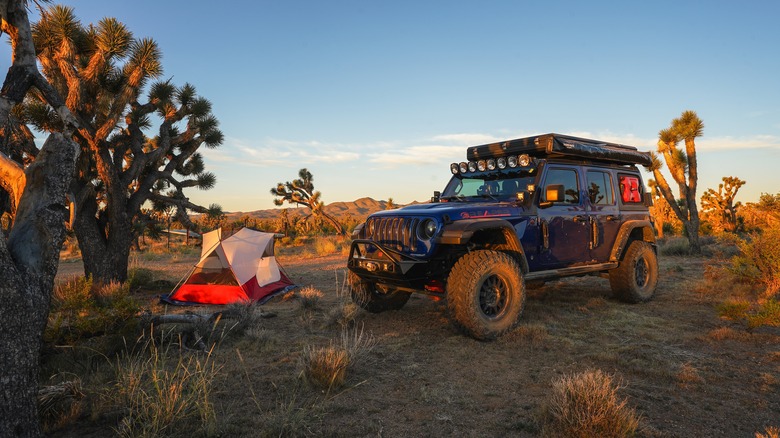 Wrangler at campsite