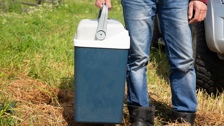 Portable camp fridge