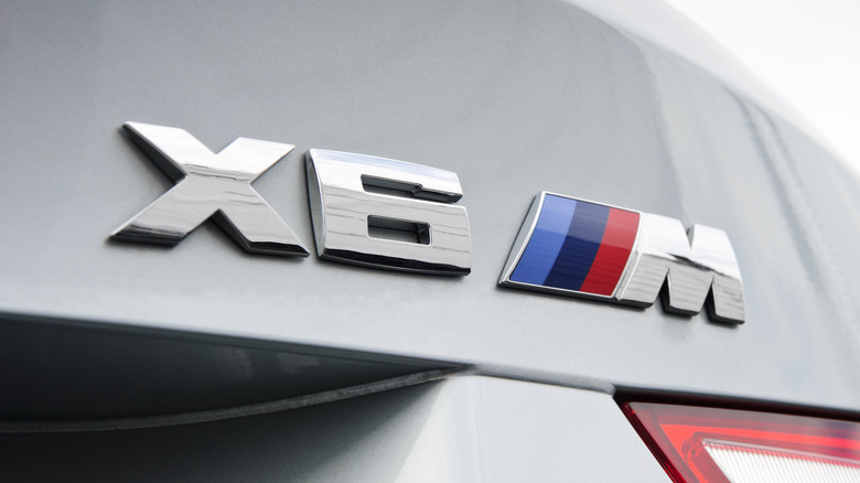 BMW M Logo on X6 M