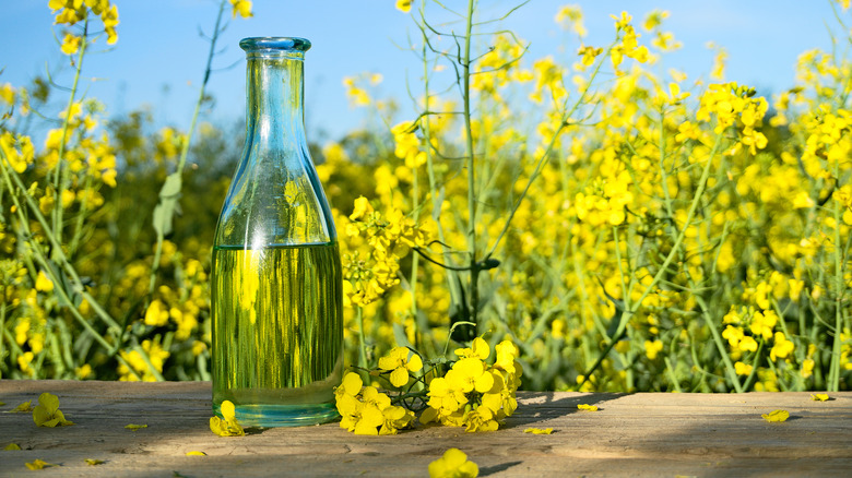 Rapeseed oil with rapeseed flowers