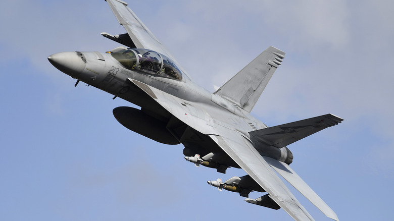 F/A-18 Super Hornet in flight