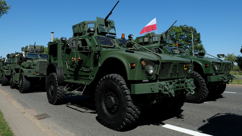 Convoy of Polish MRAPs