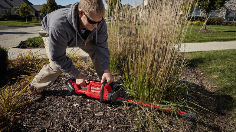 Man uses Milwaukee Hedge Trimmer