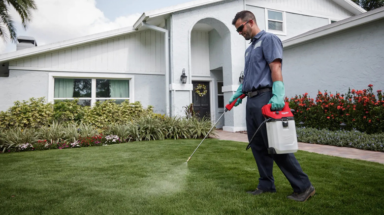 Milwaukee Handheld Sprayer