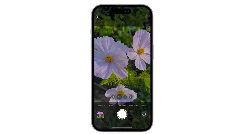 iPhone camera focusing on white flowers and exposure setting activated