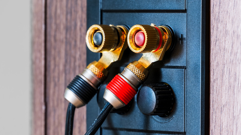 A speaker's wiring terminals.