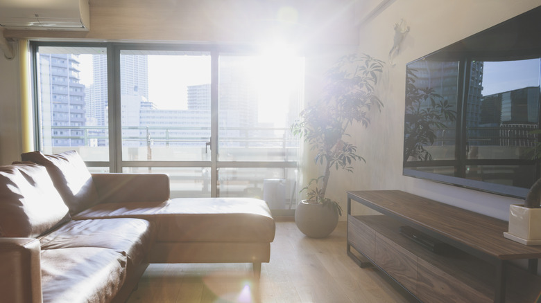 Sunlight entering living room