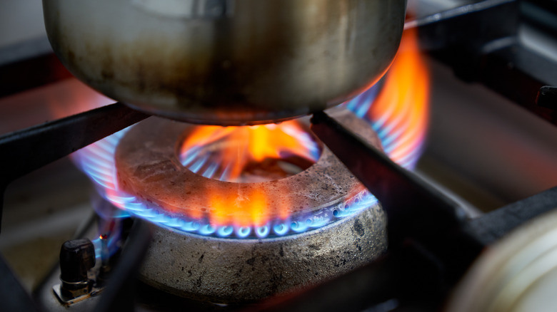 Gas stove flame