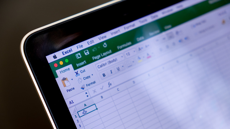 Excel software showing cells with borders