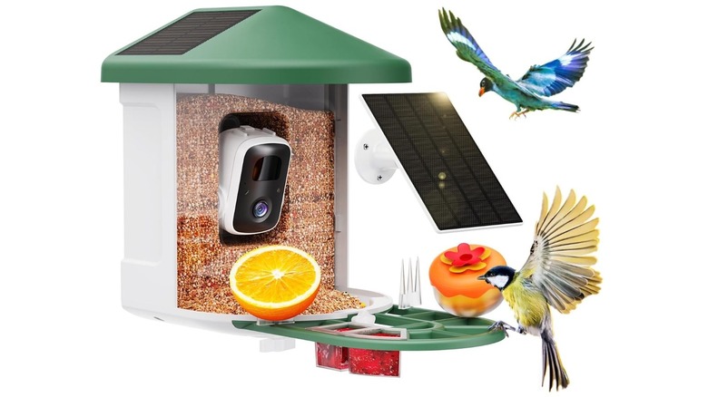 Harymor Bird Feeder