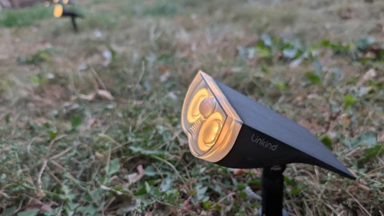 The Linkind Smart Solar Spotlight installed in a garden