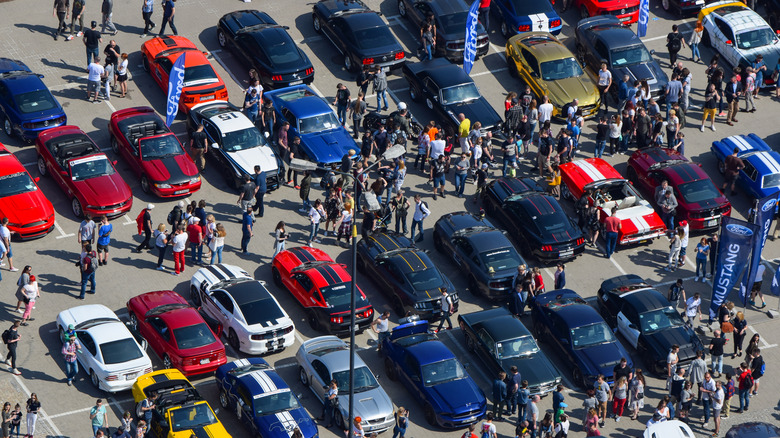 Ford mustang cars in parking lot