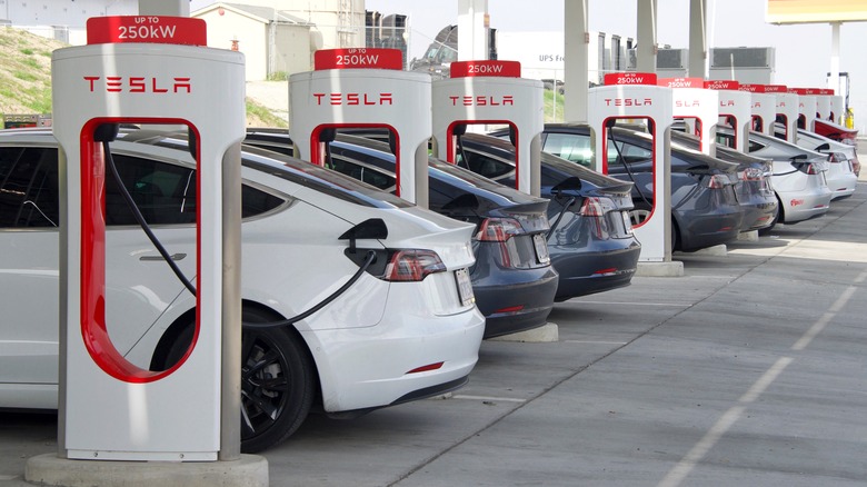 Teslas charging at a Supercharger station