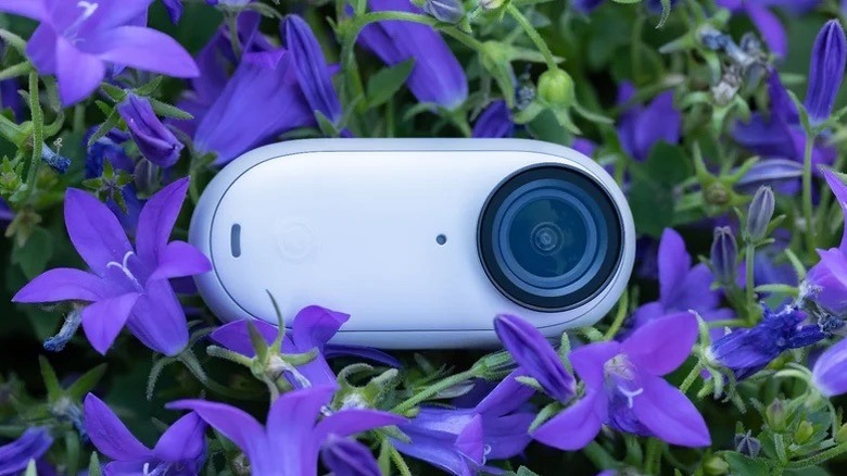 Insta360 Go 3 in a bed of flowers