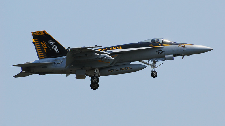 F/A-18E/F Super Hornet fighter in the air