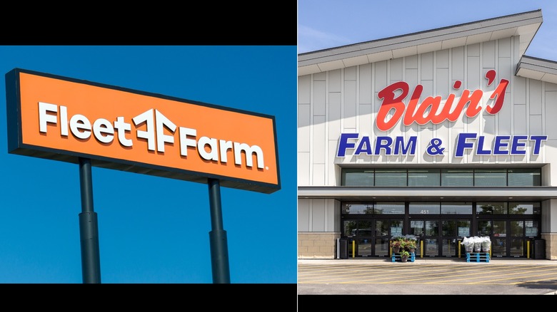 Fleet Farm and Farm and Fleet storefront