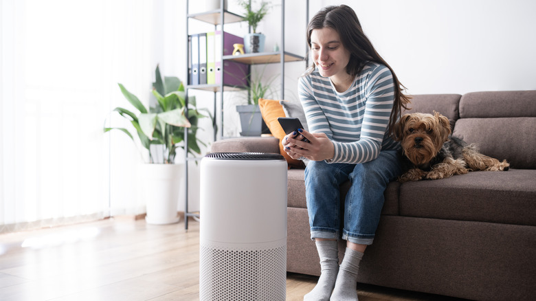 Woman sitting on couch with dog while looking at smartphone and white air purifying device