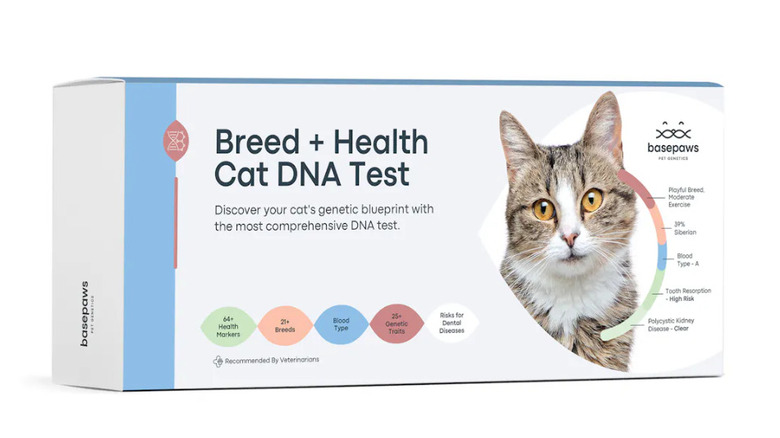 Box for cat DNA test kit