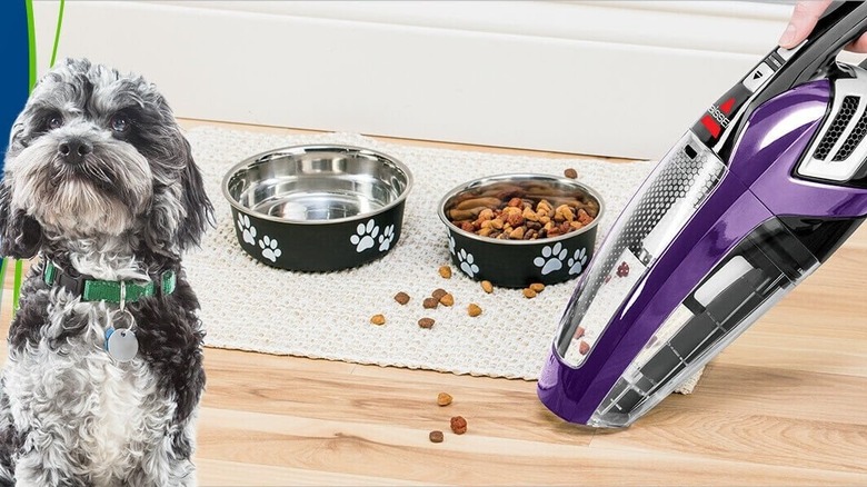 handheld vacuum cleaning up dog food near bowls