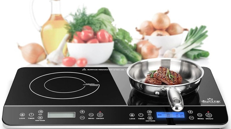 duxtop lct portable induction double stovetop cooktop