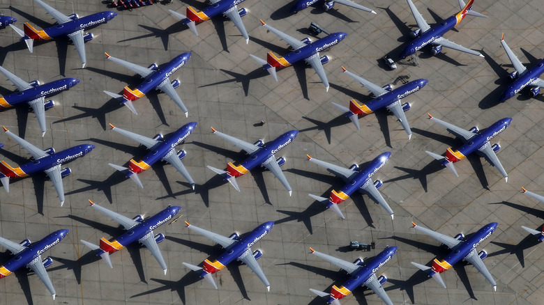 Many blue and grey Southwest airplanes parked