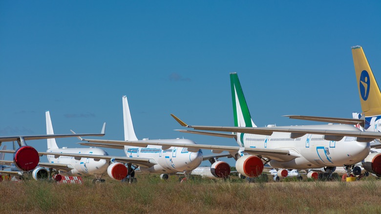 White airplanes parked on grass under blue sky