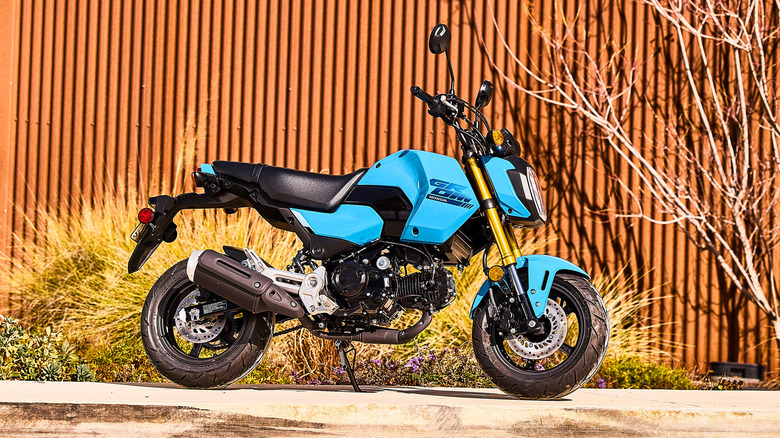 2025 Honda Grom parked